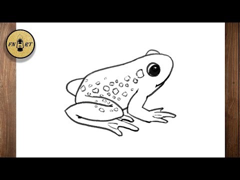 How to draw a frog body step by step