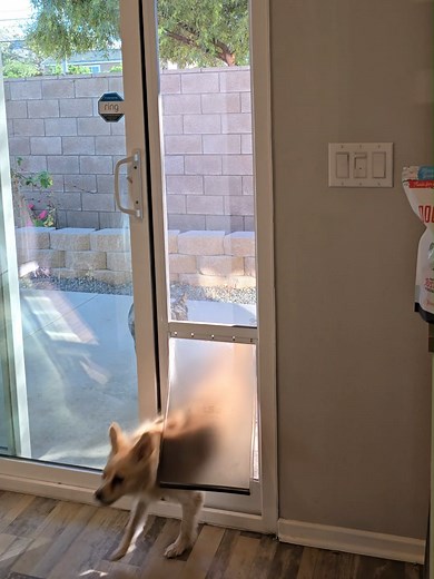 Pet Safe Sliding Glass Dog Door: Easy Installation Guide