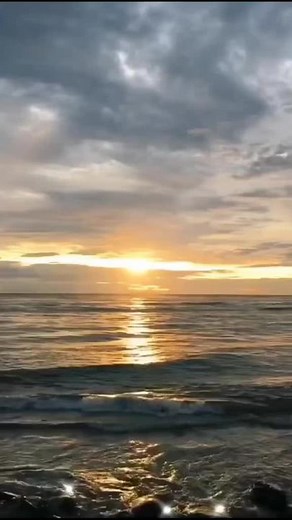 michl.ardi on TikTok