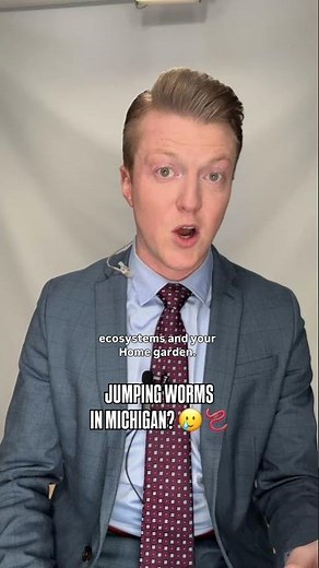 What to do if you see an invasive jumping worm