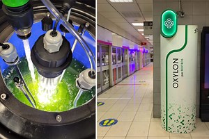 Bioteos, Oxylon : cette entreprise française a inventé un purificateur d'air biologique à base de microalgues