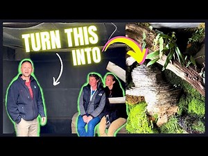 Inside the Waterfall Cave | How Our Team Crafted an Artistic Backyard Pond Grotto