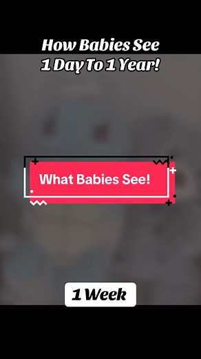 Understanding How Babies See: Vision Development Stages