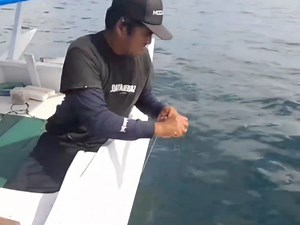 Ruby snapper fishing techniques | Zami Akbar