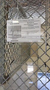 29 reactions · 21 shares | This playful baby is 10 months old and...