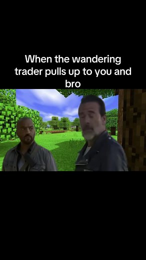 Minecraft Tutorial: Capturing the Wandering Trader