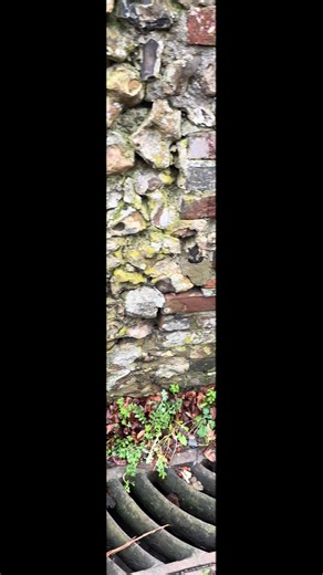 #elham #walks #alltrails #winter #countryside