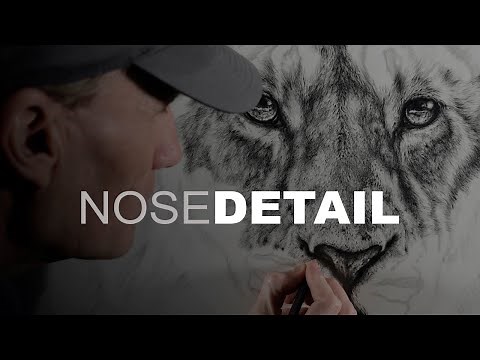 Realistic Lion Nose in Graphite Pencil