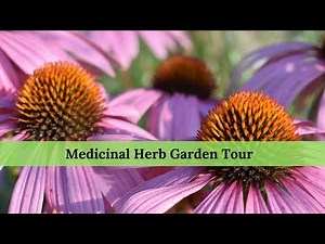 Medicinal Herb Garden Tour