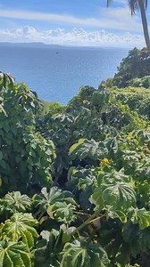 Eurostars Grand Cayacoa 📷 Martin Duval | Samaná República Dominicana