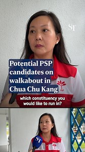 83K views · 635 reactions | #GE2025: Potential #PSP candidates were seen on a walkabout in Chua Chu Kang GRC on March 30. They include former journalist Stella Stan Lee, stockbroker S. Nallakaruppan, tech lawyer Wendy Low and businessman Phang Yew Huat. https://str.sg/hosM #ProgressSingaporeParty #Singapore | The Straits Times | Facebook