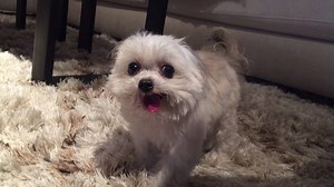 219K views · 19K reactions | did you laugh out loud? | Norbert | Facebook