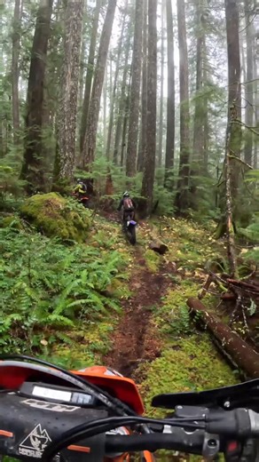 Central Coast on Instagram: "Magical Old growth forest vibes with @medium_softenduro @wraybrother @rider___guy @mbrrides @ironhorse555 @unknownenduroproject #scenicenduro #offroad #dirtbike #mountains #jarvisstyle #enduro #singletrack #hardenduro #extremeenduro #alpine #xcw #te300 #2stroke #husqvarnamotorcycles #sherco #ktm #gasgas #ridediamonds #trailriding #trails #pnw ##Washington #highcountry #beautifulbc #Canada #britishcolumbia #Alberta #rockymountains #vancouverisland"