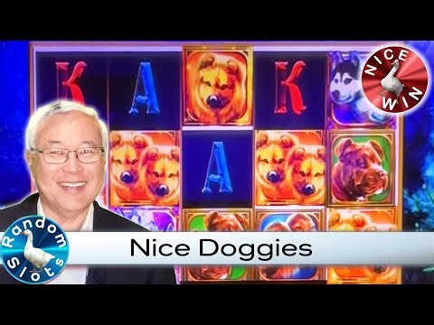 Dogs Slot Machine Nice Bonus and Win