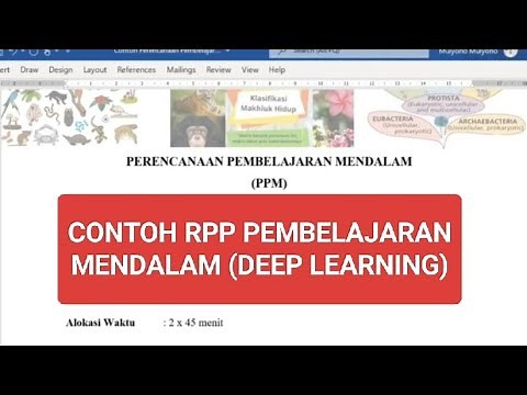 Example of Deep Learning RPP