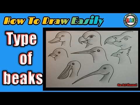 How to draw bird beaks | different types of beak drawing | draw different types of beaks