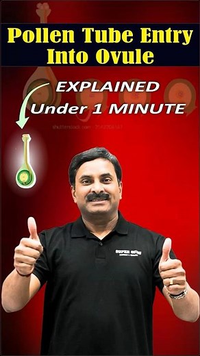 Pollen Tube Entry into Ovule Explained in 60 Seconds! | #BiologyShorts #NEET