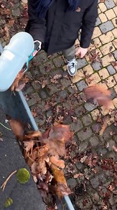 Clean Your Gutters in Minutes Without a Ladder | Humour Train