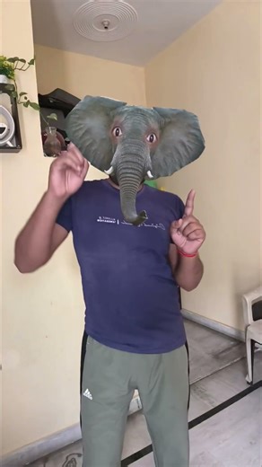 Elephant Dance 😨 How is possible || #funny​ #viral​ #youtube​ #shorts