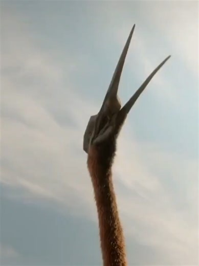 Hilarious Dinosaur Meme You Can't Miss! 😂