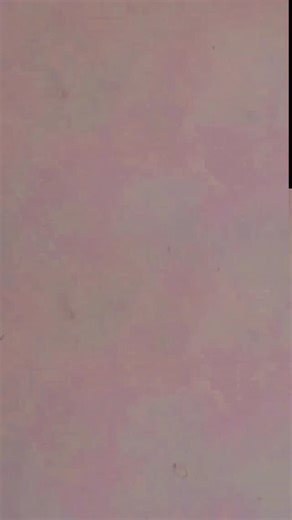 miss priynka queen on Instagram: "#🥰💫🤞__________________________❣️"