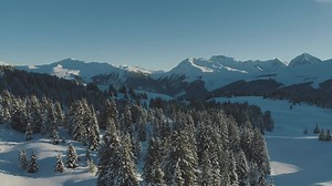 Traumhafte Wanderrouten in Arosa 🥾❄️ | Arosa