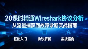 2026最新版Wireshark 从入门到实战保姆级教学，20 课时Wireshark抓包 + 协议分析 从入门到精通，零基础吃透所有实战干货，全程无废话