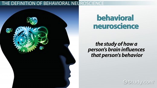 Behavioral Neuroscience | Definition, Branches & Areas of Study