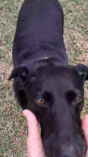 This will be my personal spring project. | Earnednotgivenfitgal Reeves | Facebook