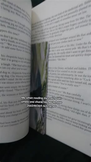 The Confusion of Apple Maps Explained