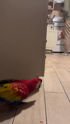 Mona's Disgust: A Video of Poop Off Bottle Mishap