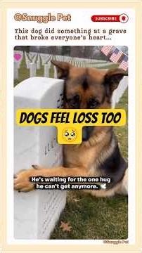 Dog disitu owner's grave and cries. #shortsviral #recommend #cryingdog #grief