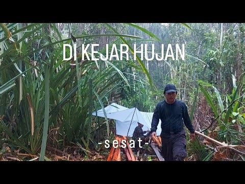 Camping & hanting. cuaca tidak baik, hujan seharian dalam hutan. ( sesat )