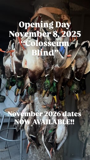 Carter’s Big Island Hunt Club on Instagram: "Now booking for November 2026 Kansas Flooded Timber $850 per day Groups of 5 or more get the blind to themselves. Message, text, or call 620-778-5480 #cbi #kansas #mallards #floodedtimber #passitonorloseit🦆🏝"