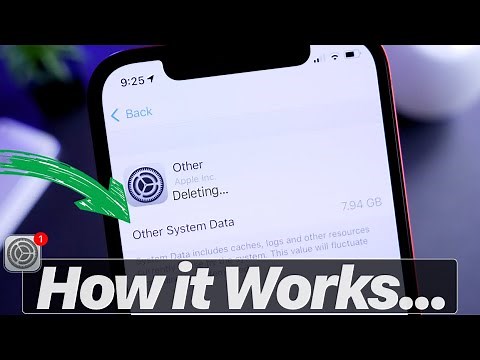 How to Delete Other System Data
