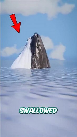 How to Survive Being Swallowed by a Whale #whale #survival #tips