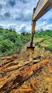 39K views · 1.2K reactions | Bridge piling installation | Baskoro Doewank | Facebook