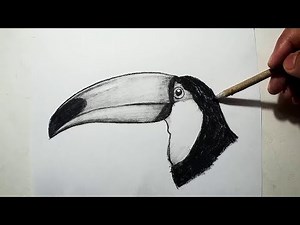 How to Draw A bird head || Charcoal Drawing and Shading