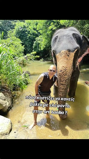 ##srilanka #elephant #travel #tiktokgreece #fyp