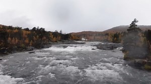 Juicy Pork Fillet Wrapped in Bacon – Grilled to Perfection🔥