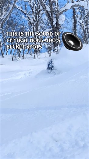 Esploro Travel on Instagram: "Did you know Hokkaido is full of howler monkeys? This trip has nothing to do with the usual Hokkaido tours, where you spend half your time queueing for lifts and everything is tracked out by 9 a.m. In the secret spots of Central Hokkaido, there are no lifts at all — and you barely meet anyone. On the way up, there’s only silence. But on the way down… this is what happens. I swear we try not to scream every time, but it’s just impossible. @fede_romanello and @esploro