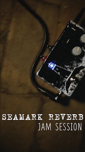 All analog true spring reverb unit. Experimental, noisy, surf style reverberation and more..