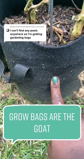 Reply to @theheartoflearning #growbag #growbags #growbaggardening #airpruning