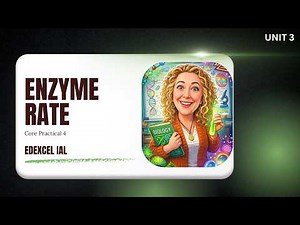 Core Practical 4: Enzyme Reaction Rate | Temperature, pH & Concentration | Edexcel IAL Biology