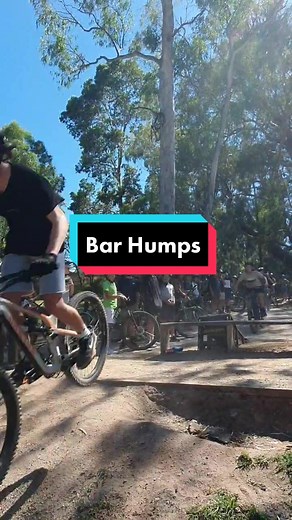 Bar Humps Adventure: Fun Challenges Ahead!