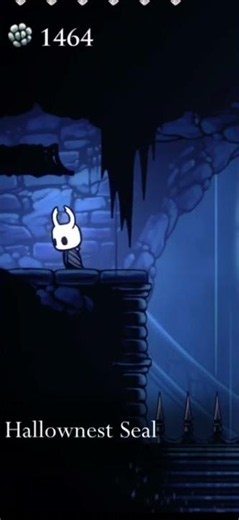 Hollow knight hidden items