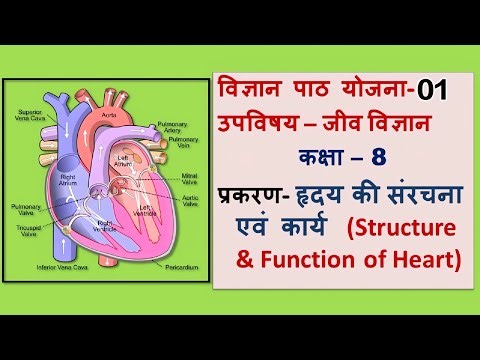 Science Heart Lesson Plan | Class 6–10 | पाठ योजना 01 ।Biology | हृदय की संरचना एवं कार्य।