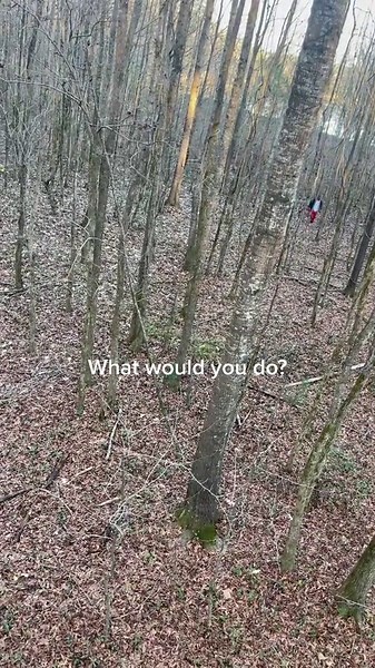 #DisneyPlus Voices #mississippi #trespassing #toryourpage #ruined | disney voice over