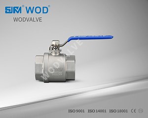 [Hot Item] 2-PC SUS 304 Stainless Steel Ball Valves