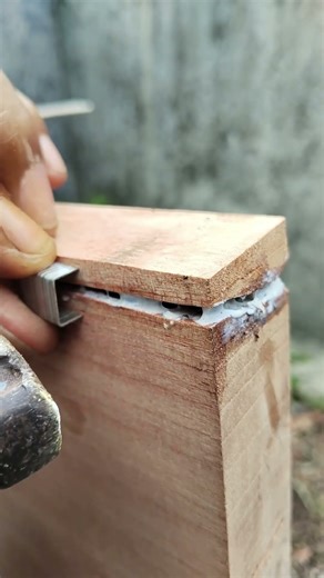 How to Fix Split Wood Using Staples (No Specialized Clamps)#WoodworkingHacks #sorts